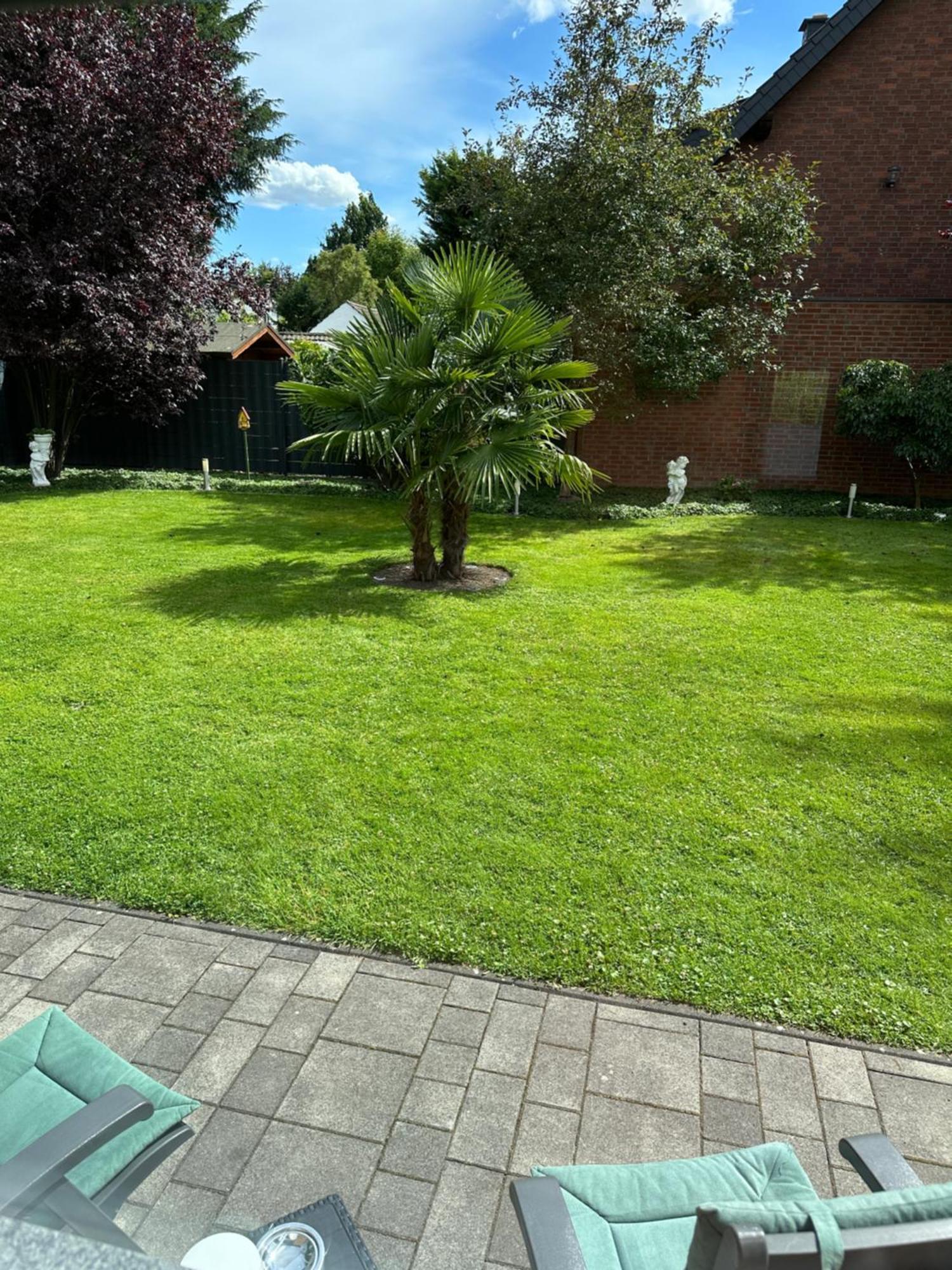 Auszeit Apartment Duesseldorf Экстерьер фото